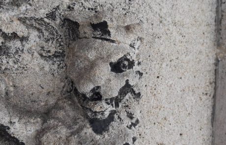laser cleaning stone coat of arms