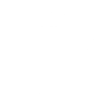 ART CONSERVATION Brussels – Italian restorer Laura Porcu Logo