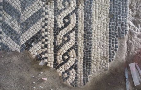 Mosaic conservation