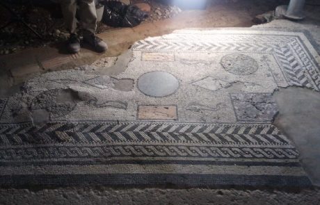 On-site conservation of mosaics
