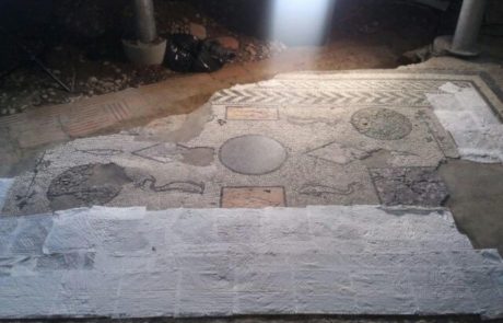 Mosaic conservation process