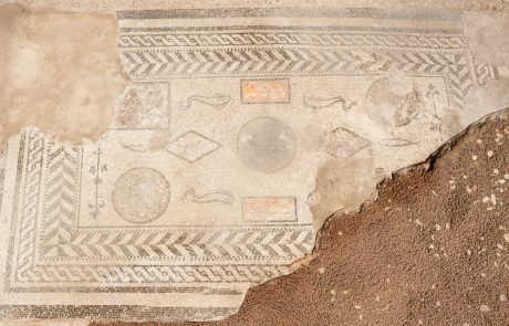 Example of mosaic conservation Belgium