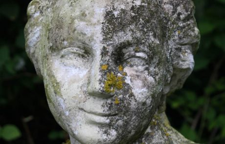 bust of woman conservation in Belgium