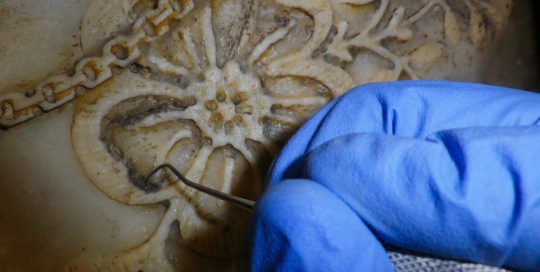 Cemetary stone sculpture conservation and restoration